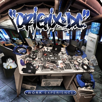 origix&dc_workexperience