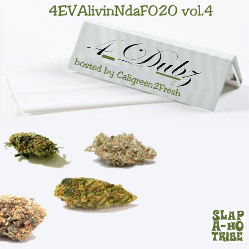 Various_Artists_4_Dubz-front-large