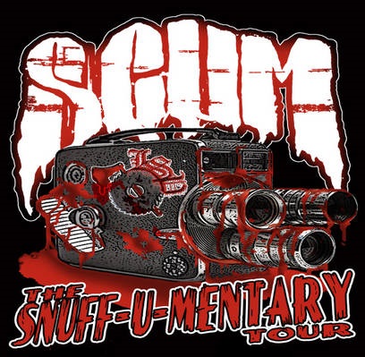 dsfv