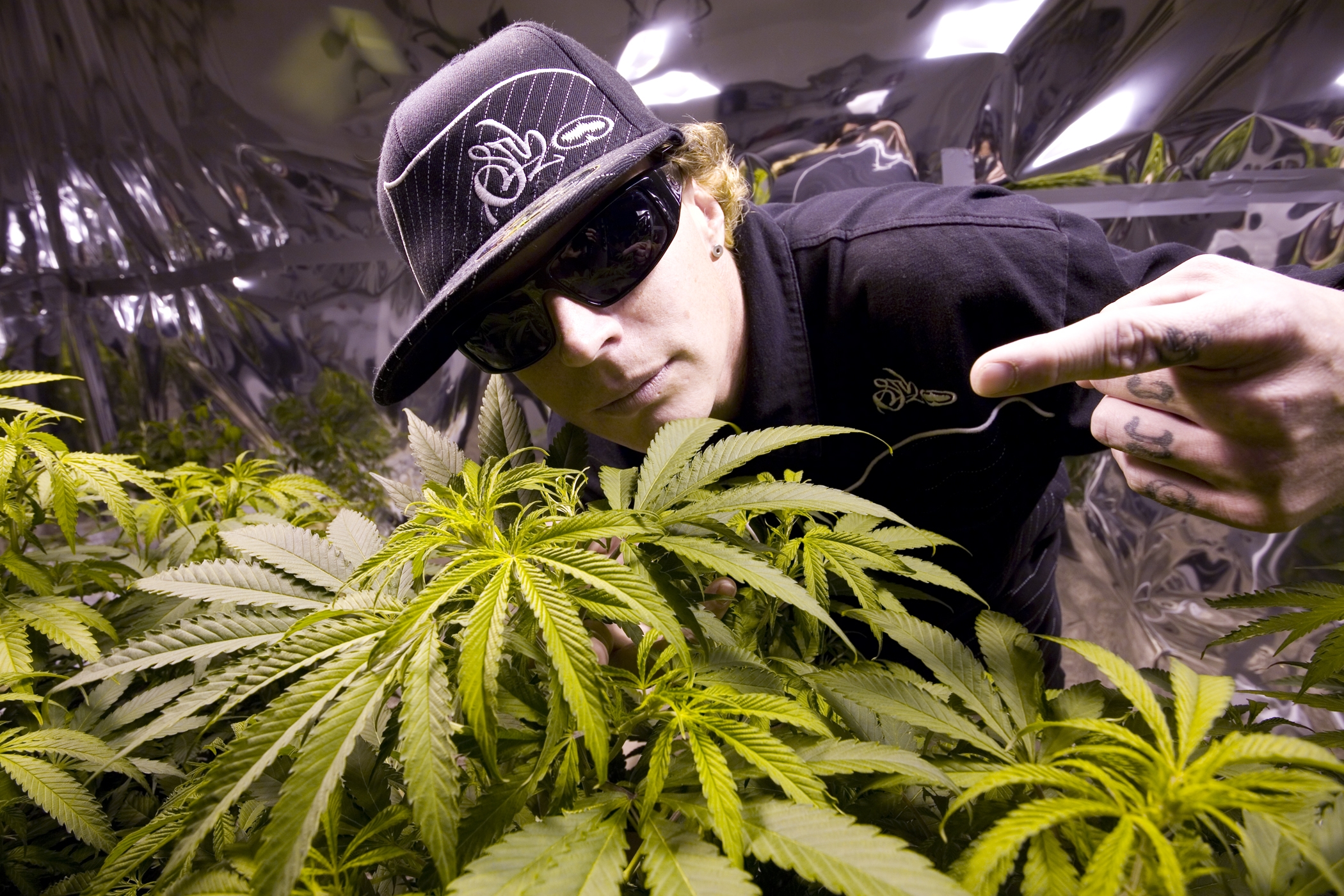 Richter_Laughing_Weed