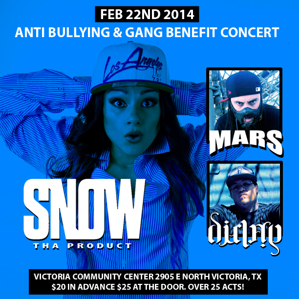 snow-show