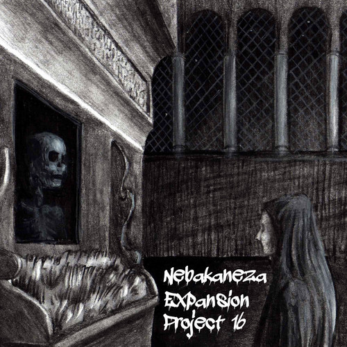 nebakaneza_expansionproject16