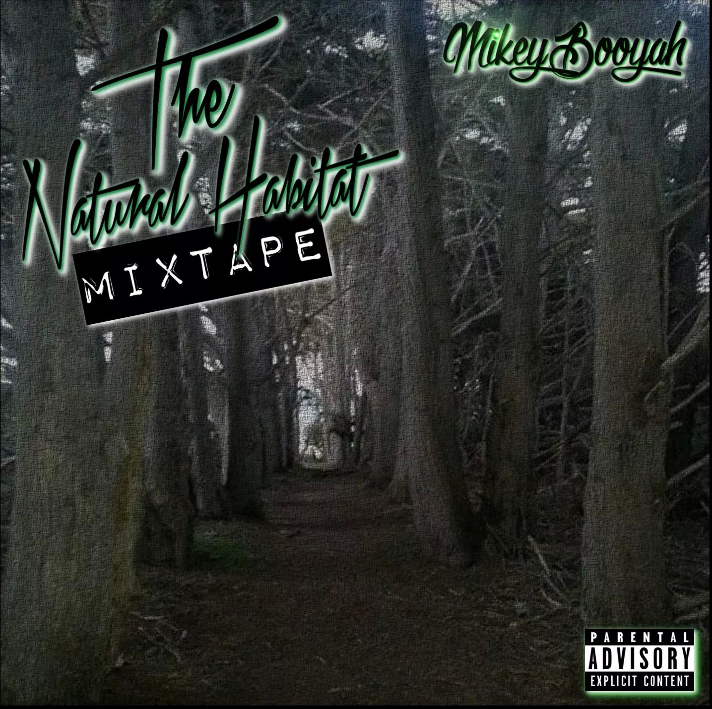 Mikey Booyah - The Natural Habitat.jpg