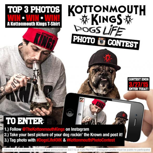 KMK_DogsLife