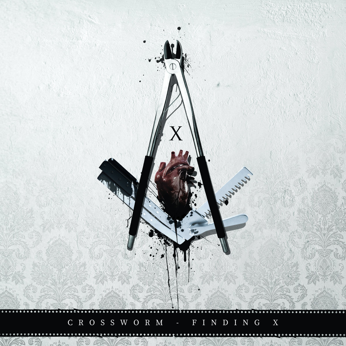 crossworm_findingx