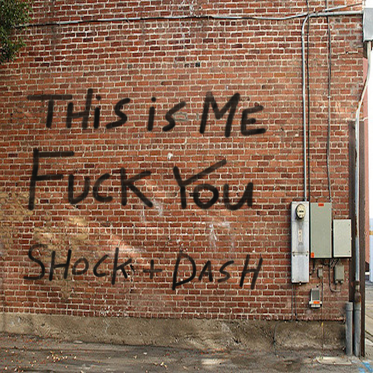 shock&dash_thisismefuckyou