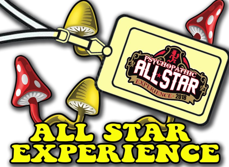 allstarexperience