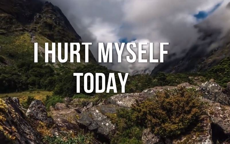 ptb_hurt