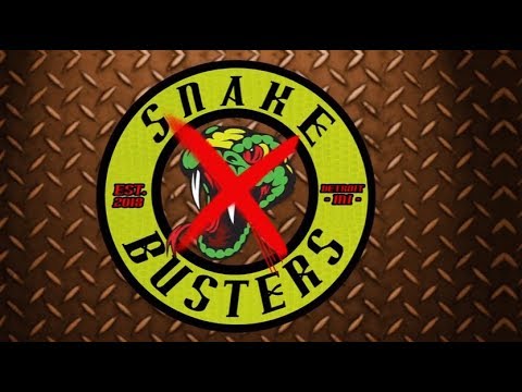 Snake Busters Episode 2: Cover Girl Makeup