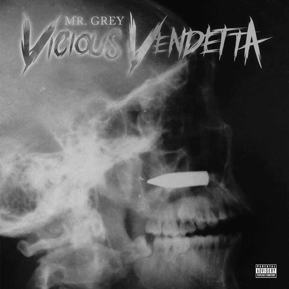 mrgrey_viciousvendettacover