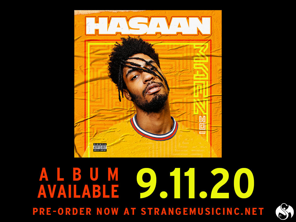 maez301_hasaan