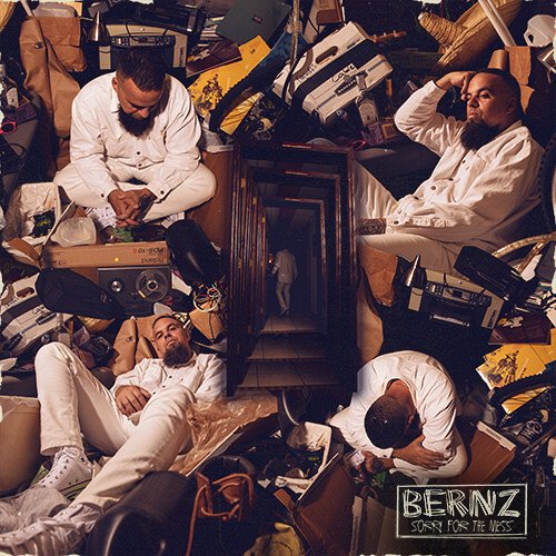 bernz_sorryforthemess