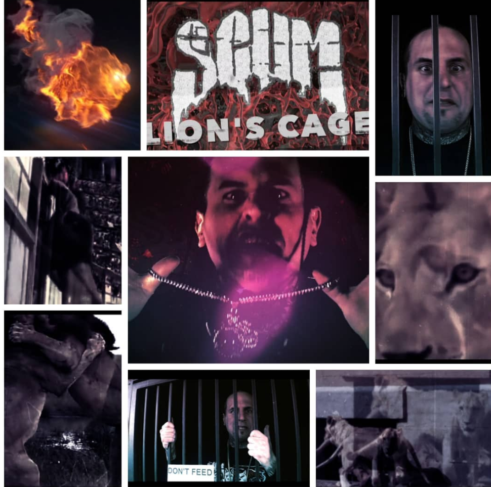 Scum lions cage