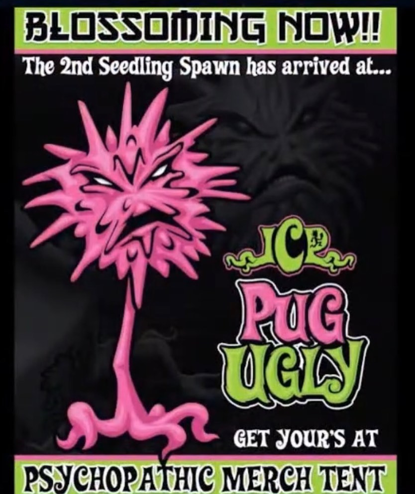 Pug ugly
