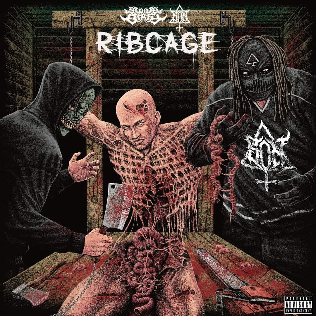 Rib cage