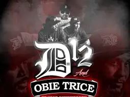 D13
