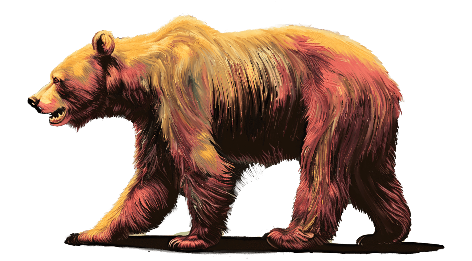 bear-sized-1536x851