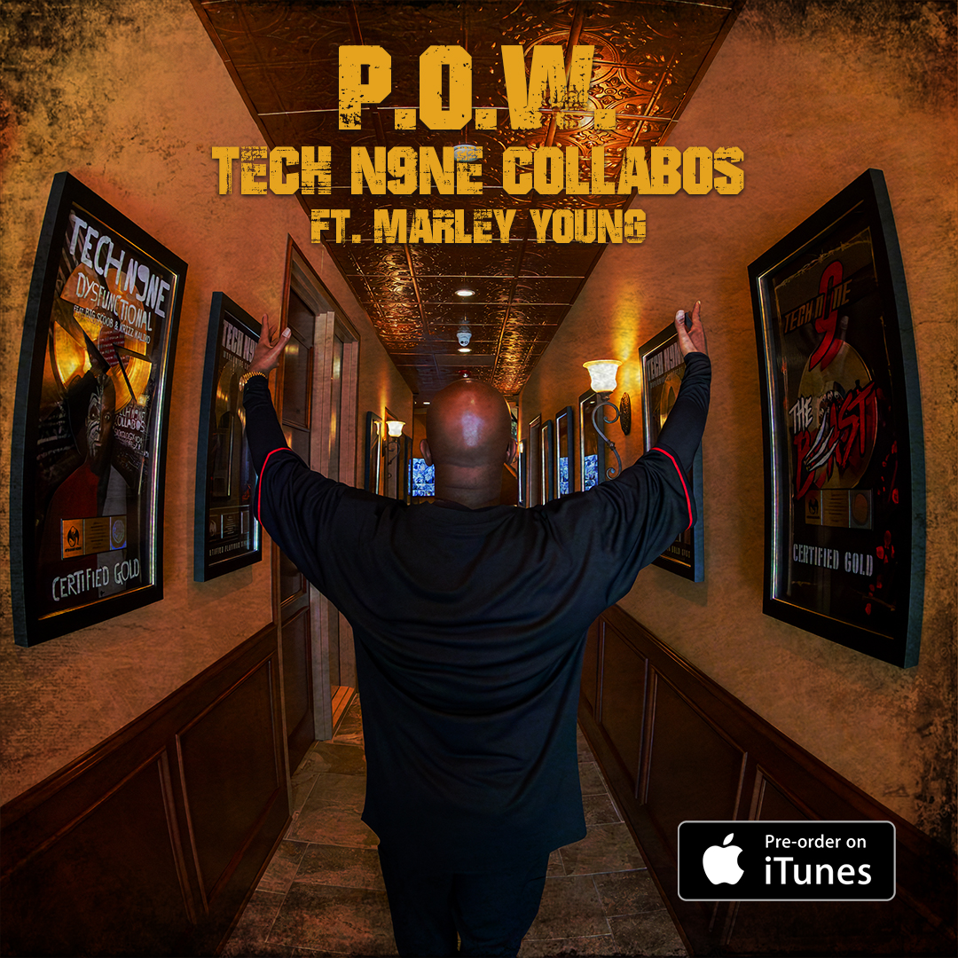 techn9ne_pow